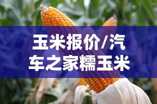 今日重大通报“微乐湖北麻将有没有透视挂”太坑了原来有挂