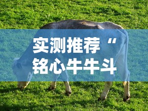实测推荐“铭心牛牛斗牌斗牛中心怎么控制输赢”附开挂详细步骤