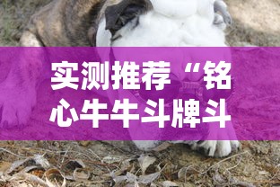 实测推荐“铭心牛牛斗牌斗牛中心怎么控制输赢”附开挂详细步骤