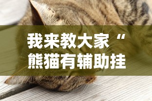 我来教大家“熊猫有辅助挂吗”真可以装挂