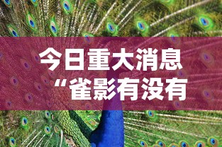 今日重大消息“雀影有没有挂的确可以”事实上真的有挂