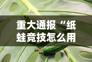 重大通报“纸蛙竞技怎么用挂	”可以开挂软件
