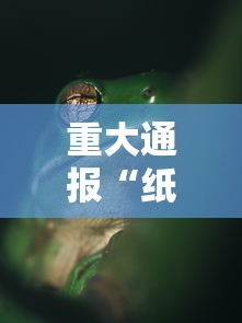 重大通报“纸蛙竞技怎么用挂”可以开挂软件