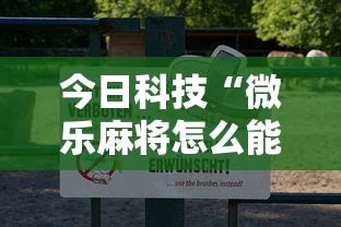 今日科技“微乐麻将怎么能用开挂(确实有挂) 今日科技“微乐麻将怎么能用开挂(确实有挂)