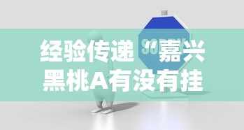经验传递“嘉兴黑桃A有没有挂”专业师傅带你了解