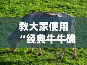 科普一下“熊猫有挂吗的确有挂”开挂必胜方法