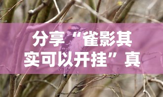 分享“雀影其实可以开挂”真可以装挂