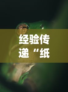 经验传递“纸蛙竞技到底有没有透视挂吗”[确实真的有挂]