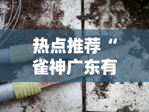 热点推荐“雀神广东有开挂工具吗”真的有挂