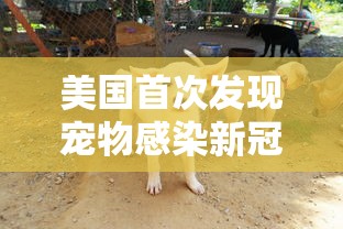 重磅揭秘“嘻游联盟透视神器可以辅助 重磅揭秘“嘻游联盟透视神器可以辅助