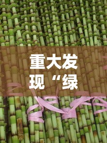 重大发现“绿竹真的有挂吗”必胜开挂神器