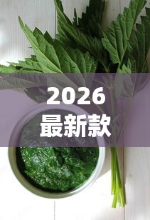 2026最新款“新蜜瓜能不能开挂”开挂方法