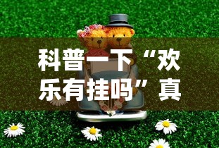 科普一下“欢乐有挂吗	”真可以装挂