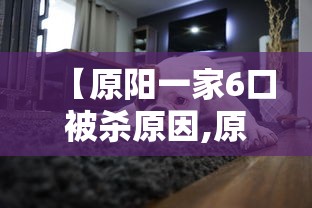 重大资讯“初心牌道有开挂工具吗	”曝光透视猫腻