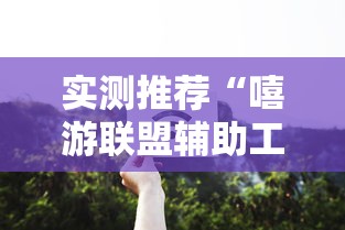 实测推荐“嘻游联盟辅助工具”专业师傅带你了解