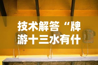技术解答“牌游十三水有什么挂”详细开挂教程