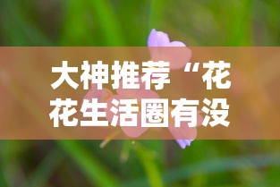大神推荐“花花生活圈有没有辅助器”附详细步骤
