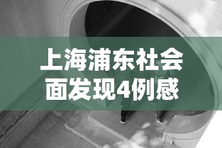 上海浦东社会面发现4例感染者/上海浦东发布