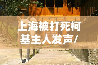 玩家实测“白金岛邵阳字牌辅助器”详细开挂教程