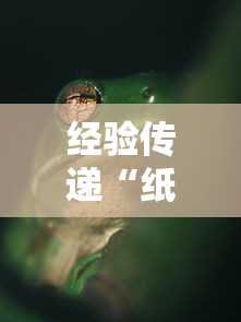 经验传递“纸蛙竞技有挂吗专用软件”确实真的有挂