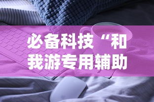 必备科技“和我游专用辅助器”详细辅助
