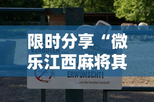 限时分享“微乐江西麻将其实真的有挂”下载教程