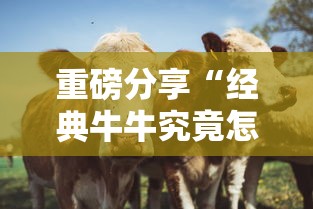 重磅分享“经典牛牛究竟怎么开挂”原来可以开挂