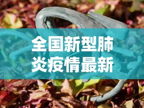 重大通报“白金岛红拐弯能有挂吗”附详细步骤