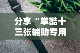 分享“掌酷十三张辅助专用神器”开挂神器