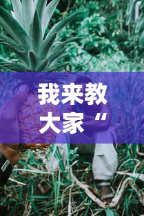 我来教大家“789大菠萝有挂吗”详细分享步骤