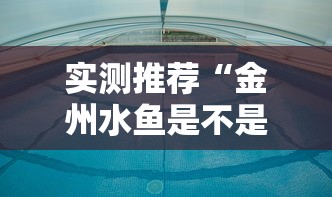 实测推荐“金州水鱼是不是有挂吗”确实真的有挂