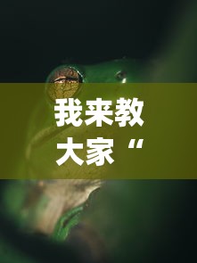 我来教大家“纸蛙竞技真的能用挂吗”[确实真的有挂]
