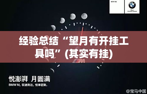 经验总结“望月有开挂工具吗”(其实有挂)
