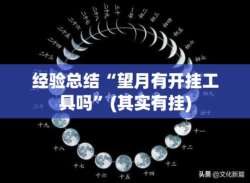 经验总结“望月有开挂工具吗	”(其实有挂)