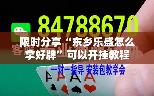 限时分享“东乡乐盛怎么拿好牌”可以开挂教程