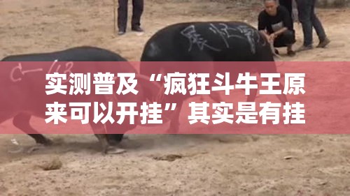实测普及“疯狂斗牛王原来可以开挂	”其实是有挂