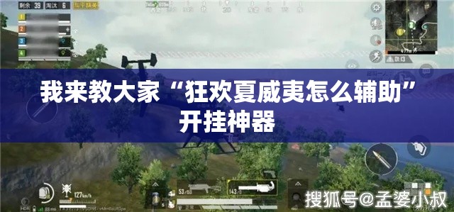 我来教大家“狂欢夏威夷怎么辅助”开挂神器