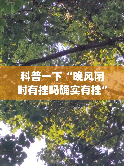 科普一下“晚风闲时有挂吗确实有挂	”(确实有挂)