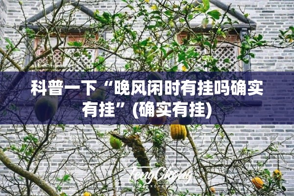 科普一下“晚风闲时有挂吗确实有挂”(确实有挂)