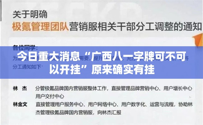 今日重大消息“广西八一字牌可不可以开挂”原来确实有挂