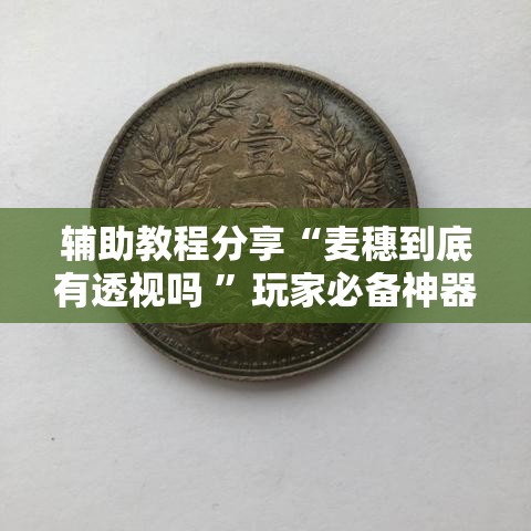 辅助教程分享“麦穗到底有透视吗 ”玩家必备神器