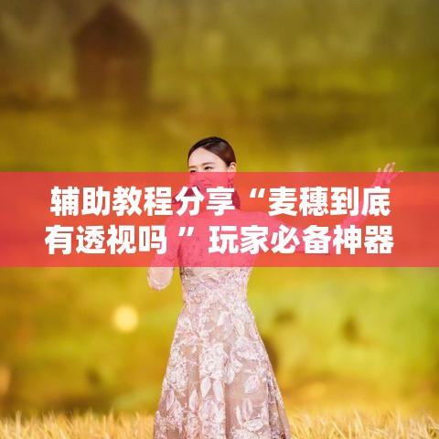 辅助教程分享“麦穗到底有透视吗 ”玩家必备神器
