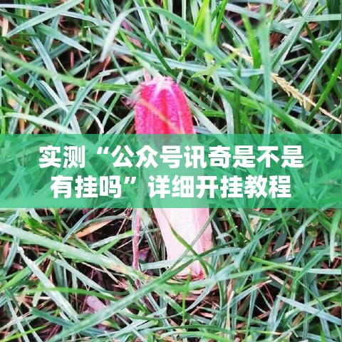 实测“公众号讯奇是不是有挂吗	”详细开挂教程