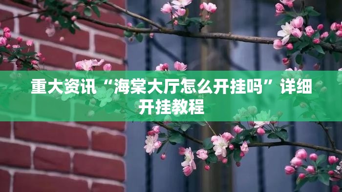 重大资讯“海棠大厅怎么开挂吗”详细开挂教程