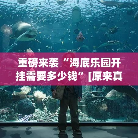 重磅来袭“海底乐园开挂需要多少钱”[原来真的有挂]
