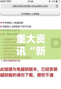 重大资讯“新讯奇透视专用神器	”详细开挂教程