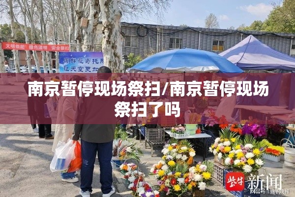 南京暂停现场祭扫/南京暂停现场祭扫了吗