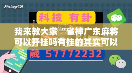 我来教大家“雀神广东麻将可以开挂吗有挂的其实可以装挂