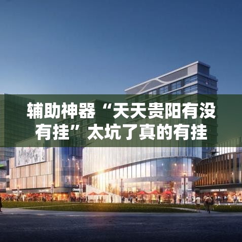辅助神器“天天贵阳有没有挂”太坑了真的有挂
