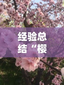 经验总结“樱花梦雨一直输怎么办	”其实确实有挂